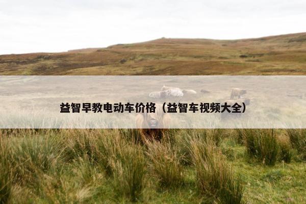益智早教电动车价格（益智车视频大全）