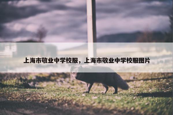 上海市敬业中学校服，上海市敬业中学校服图片