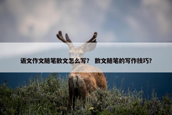语文作文随笔散文怎么写？ 散文随笔的写作技巧？