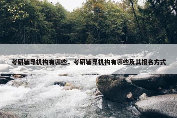 考研辅导机构有哪些，考研辅导机构有哪些及其报名方式