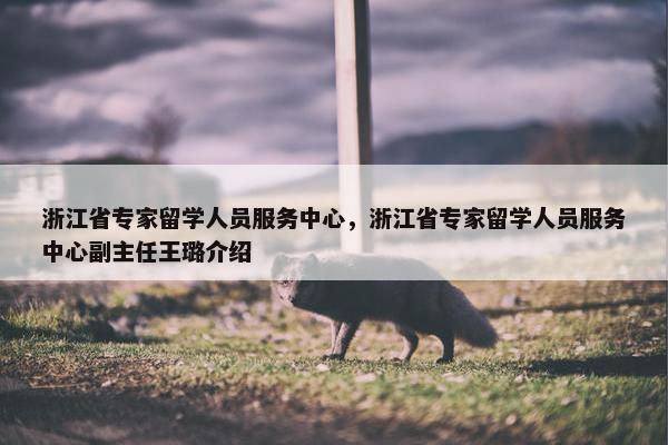 浙江省专家留学人员服务中心，浙江省专家留学人员服务中心副主任王璐介绍