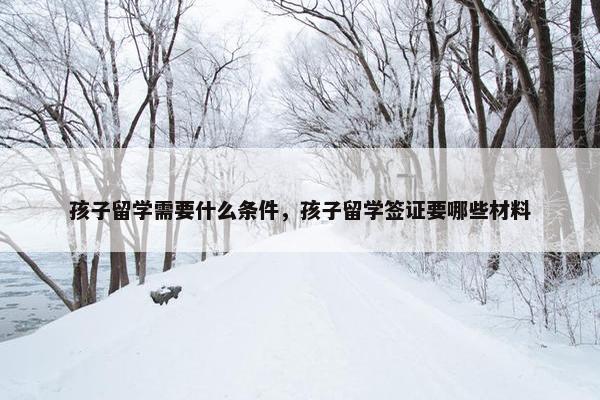 孩子留学需要什么条件，孩子留学签证要哪些材料