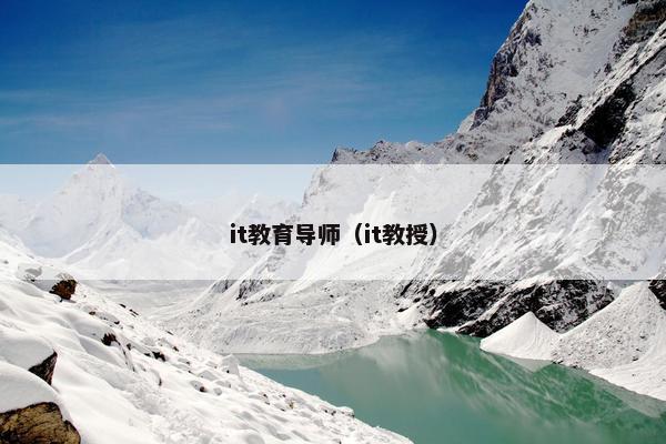 it教育导师（it教授）