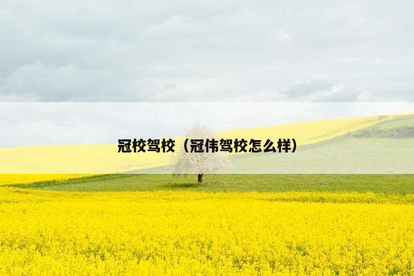 冠校驾校（冠伟驾校怎么样）