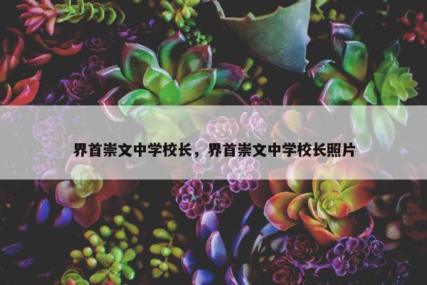 界首崇文中学校长，界首崇文中学校长照片