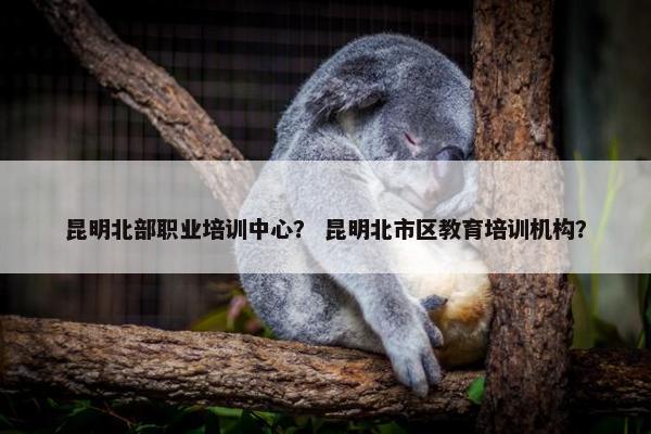 昆明北部职业培训中心？ 昆明北市区教育培训机构？