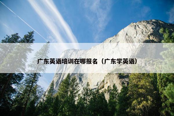 广东英语培训在哪报名（广东学英语）