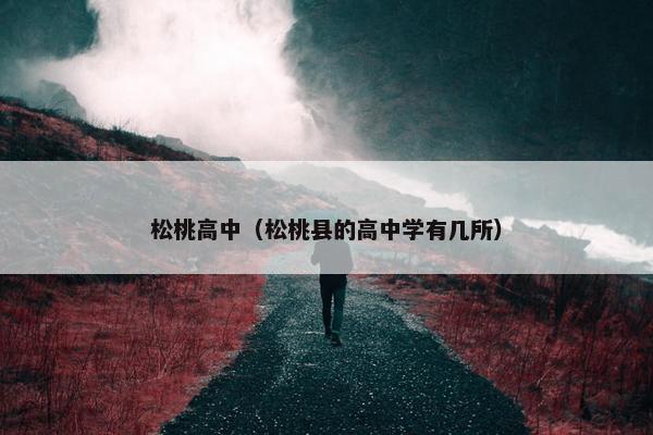 松桃高中（松桃县的高中学有几所）