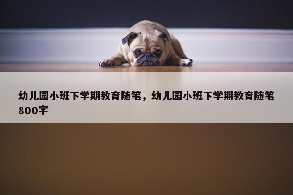 幼儿园小班下学期教育随笔，幼儿园小班下学期教育随笔800字