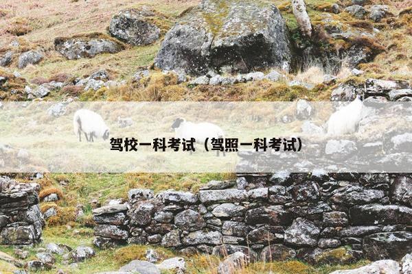 驾校一科考试（驾照一科考试）