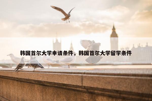 韩国首尔大学申请条件，韩国首尔大学留学条件
