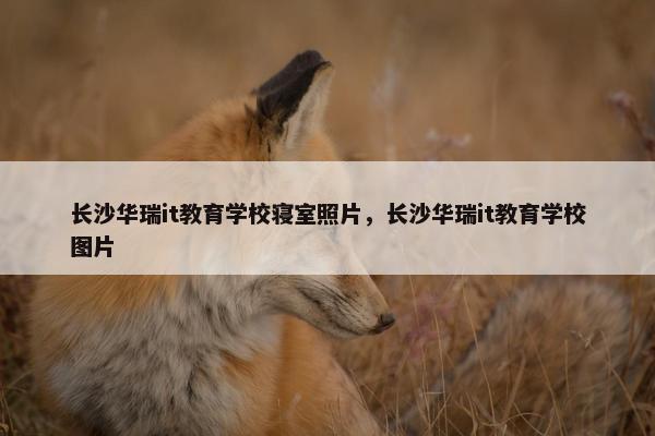 长沙华瑞it教育学校寝室照片，长沙华瑞it教育学校图片