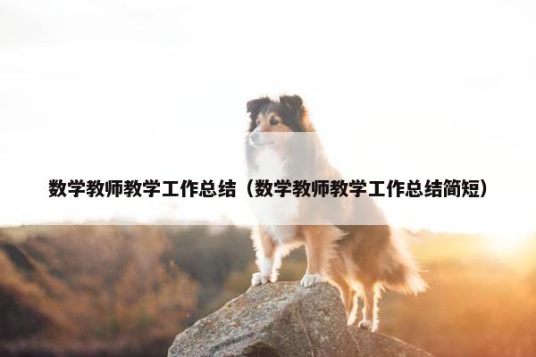 数学教师教学工作总结（数学教师教学工作总结简短）