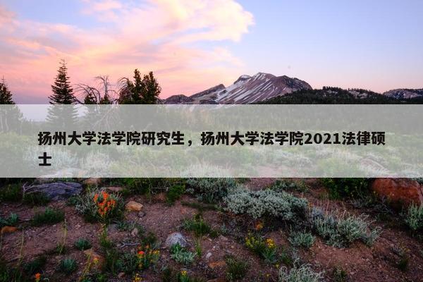 扬州大学法学院研究生，扬州大学法学院2021法律硕士