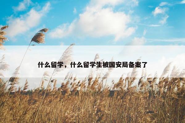 什么留学，什么留学生被国安局备案了