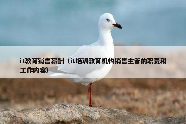 it教育销售薪酬（it培训教育机构销售主管的职责和工作内容）