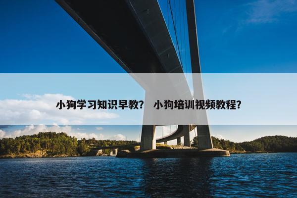 小狗学习知识早教？ 小狗培训视频教程？