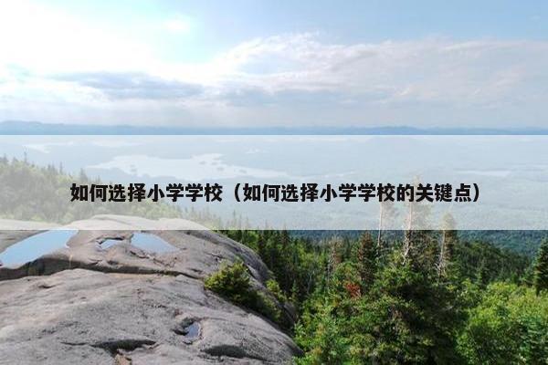 如何选择小学学校（如何选择小学学校的关键点）