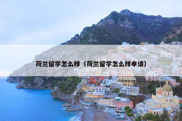 荷兰留学怎么样（荷兰留学怎么样申请）