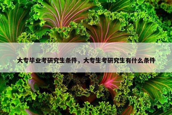 大专毕业考研究生条件，大专生考研究生有什么条件