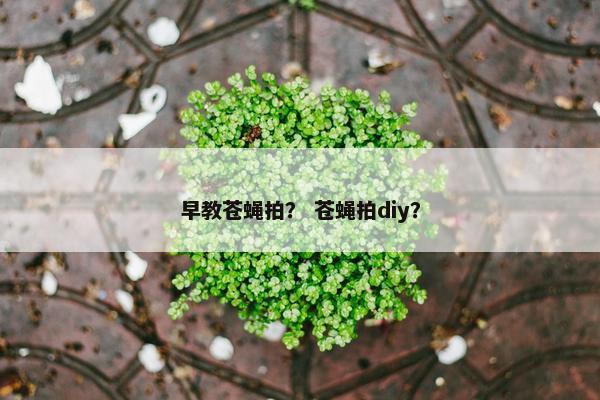 早教苍蝇拍？ 苍蝇拍diy？