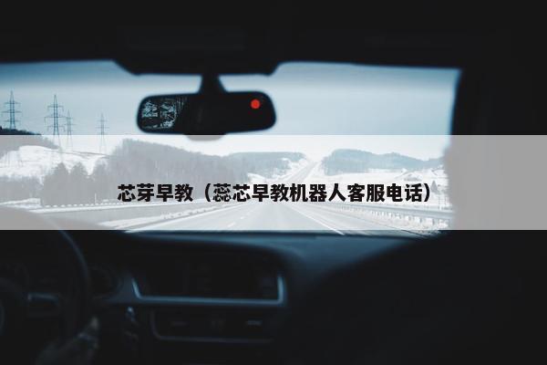 芯芽早教（蕊芯早教机器人客服电话）