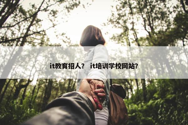 it教育招人？ it培训学校网站？