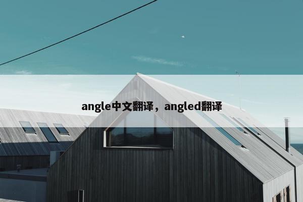 angle中文翻译，angled翻译