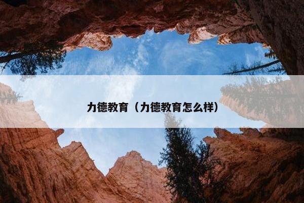 力德教育（力德教育怎么样）