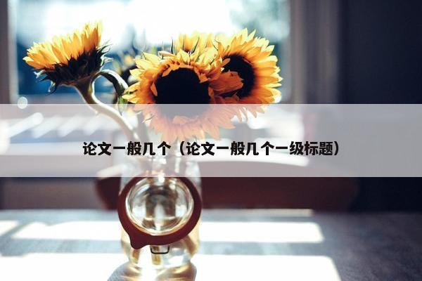 论文一般几个（论文一般几个一级标题）