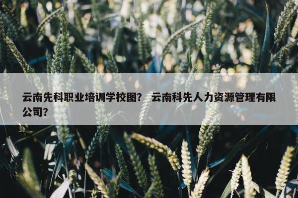 云南先科职业培训学校图？ 云南科先人力资源管理有限公司？