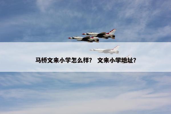 马桥文来小学怎么样？ 文来小学地址？