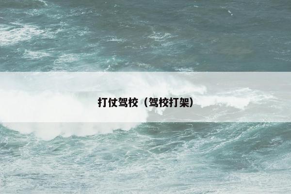 打仗驾校（驾校打架）