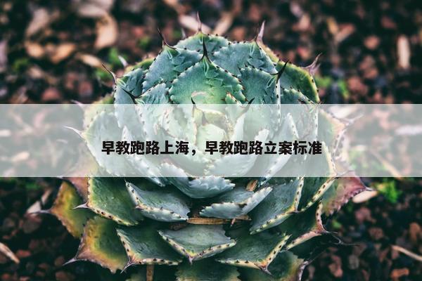 早教跑路上海，早教跑路立案标准