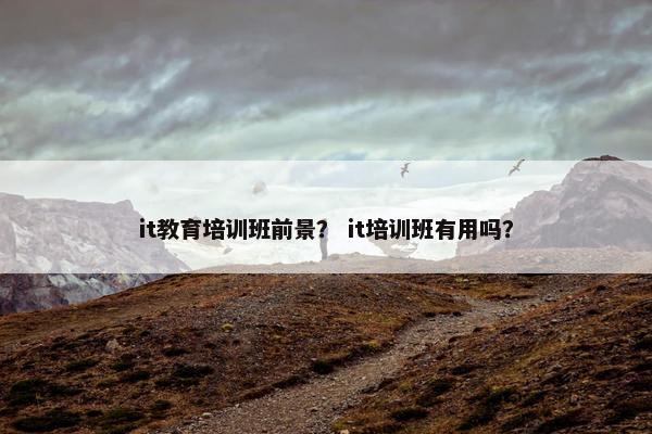 it教育培训班前景？ it培训班有用吗？