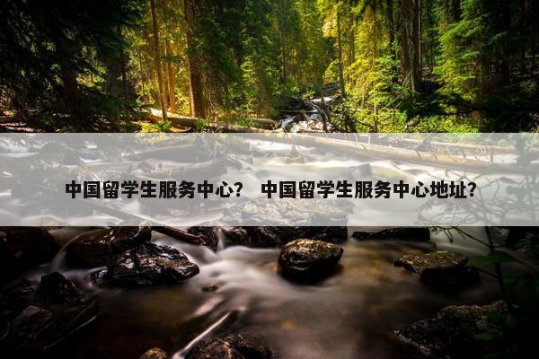中国留学生服务中心？ 中国留学生服务中心地址？