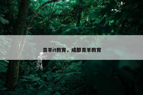 青羊it教育，成都青羊教育
