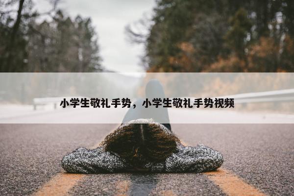 小学生敬礼手势，小学生敬礼手势视频