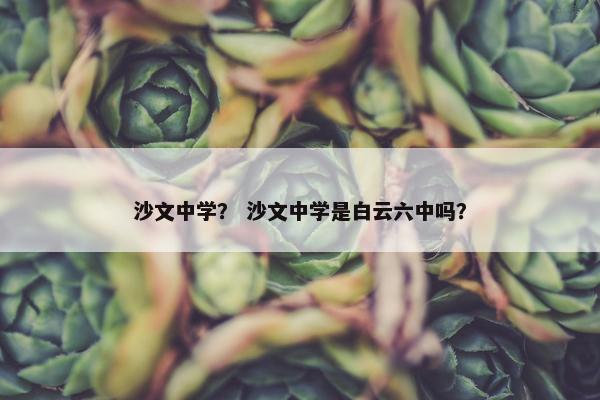 沙文中学？ 沙文中学是白云六中吗？