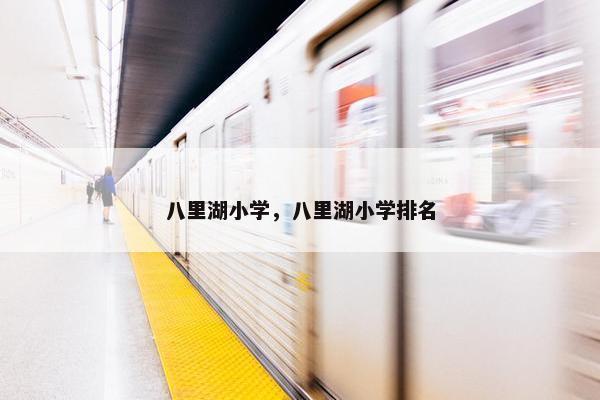 八里湖小学，八里湖小学排名