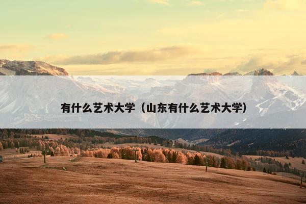 有什么艺术大学（山东有什么艺术大学）