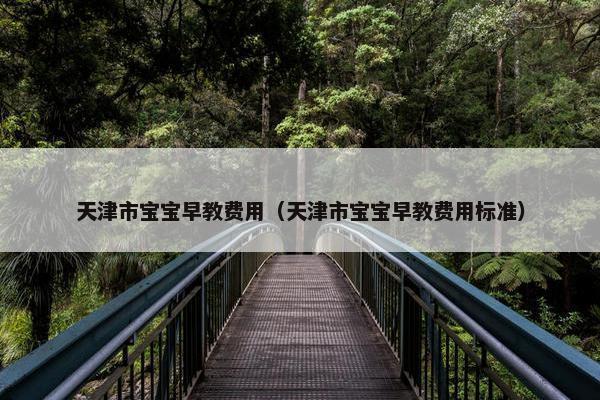 天津市宝宝早教费用（天津市宝宝早教费用标准）