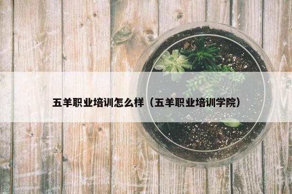 五羊职业培训怎么样（五羊职业培训学院）
