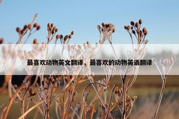 最喜欢动物英文翻译，最喜欢的动物英语翻译