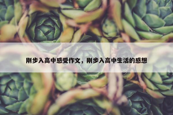 刚步入高中感受作文，刚步入高中生活的感想