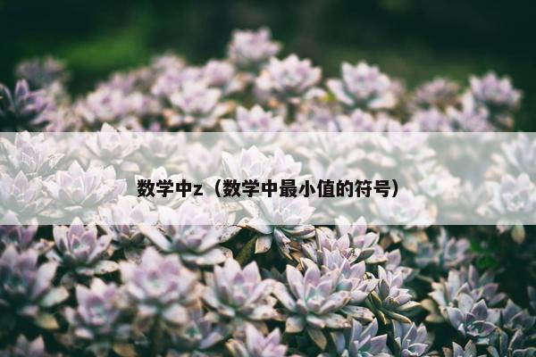 数学中z（数学中最小值的符号）