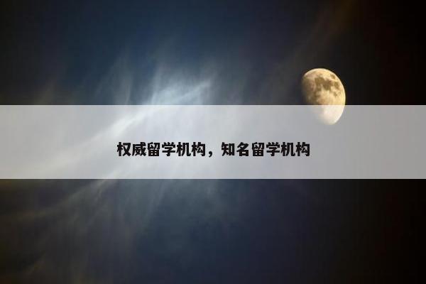 权威留学机构，知名留学机构