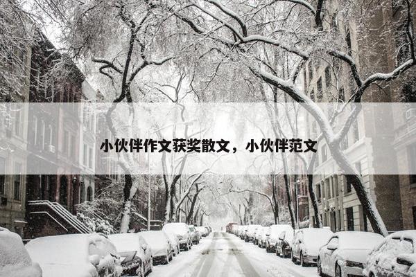 小伙伴作文获奖散文，小伙伴范文