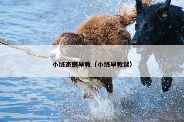 小班家庭早教（小班早教课）