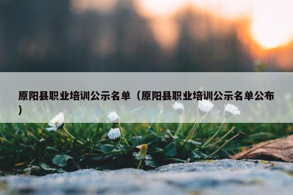原阳县职业培训公示名单（原阳县职业培训公示名单公布）